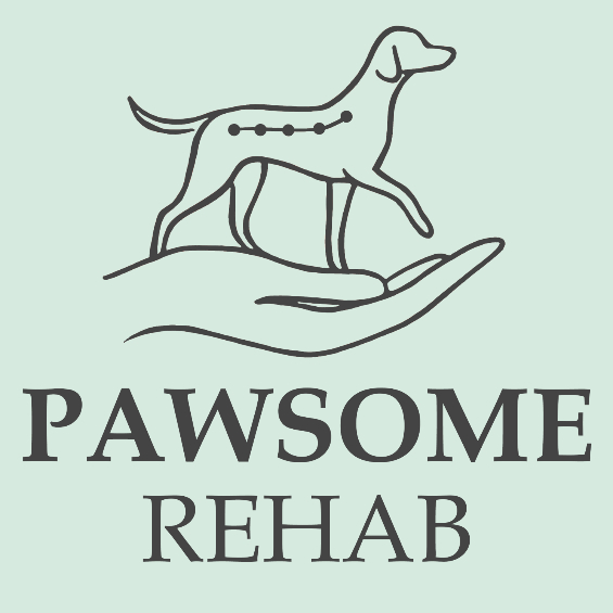 Pawsome Rehab