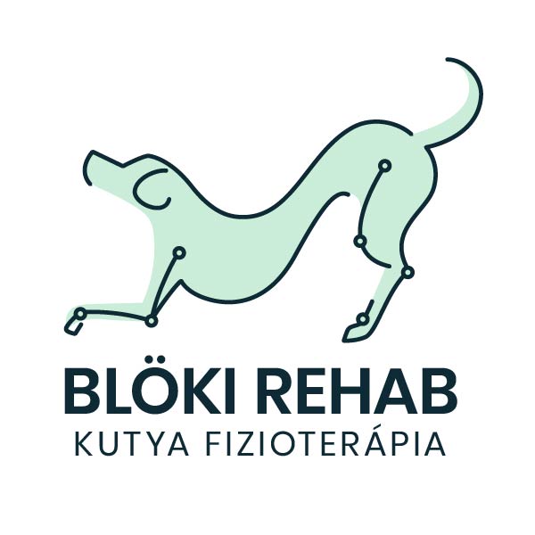 Blöki Rehab - Kutya fizioterápia, hidroterápia, terápiás masszázs
