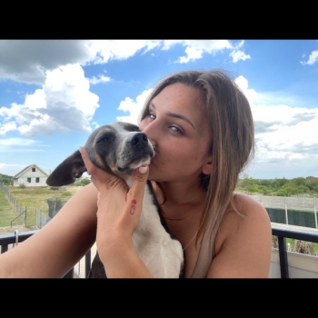 Orsi