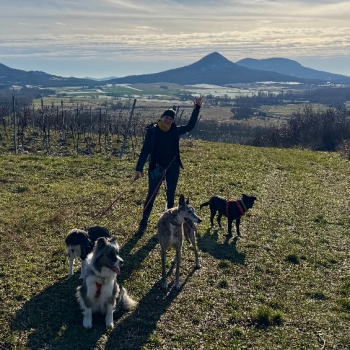 Zoomies Balaton (Zsófi)