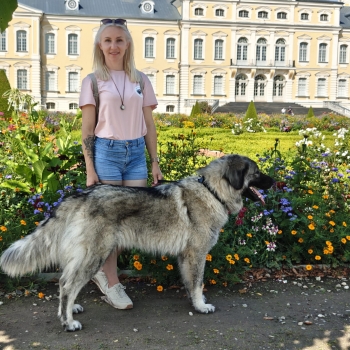Anett